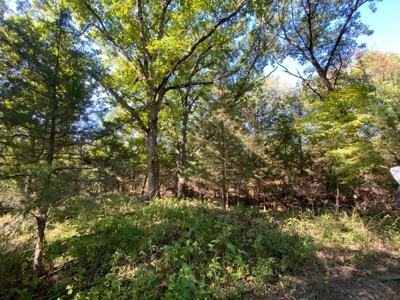 Premium Hunting Farm - image 14