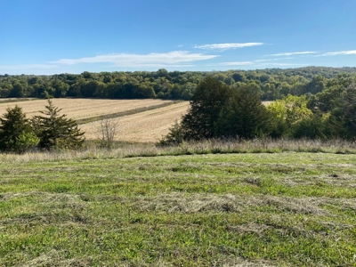 Premium Hunting Farm - image 7