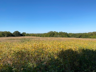 Premium Hunting Farm - image 11