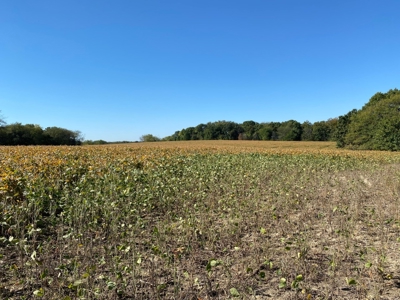 Premium Hunting Farm - image 20