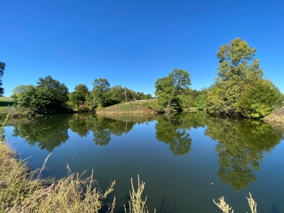 Premium Hunting Farm - image 46