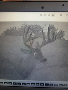 Premium Hunting Farm - image 36