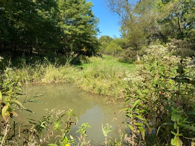 Premium Hunting Farm - image 24