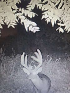 Premium Hunting Farm - image 37