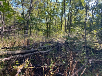 Premium Hunting Farm - image 18