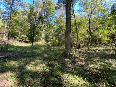 Premium Hunting Farm - image 15