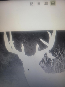 Premium Hunting Farm - image 42