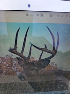 Premium Hunting Farm - image 44
