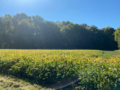 Premium Hunting Farm - image 9