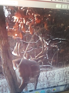 Premium Hunting Farm - image 47