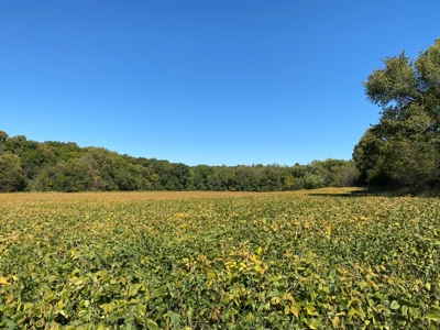 Premium Hunting Farm - image 26