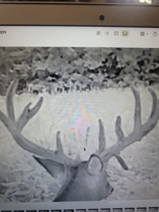 Premium Hunting Farm - image 38