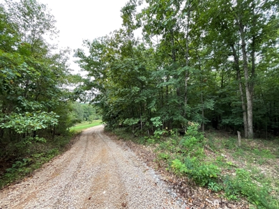 39 Acres Hunting/Recreational - image 34