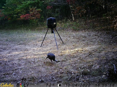 39 Acres Hunting/Recreational - image 49