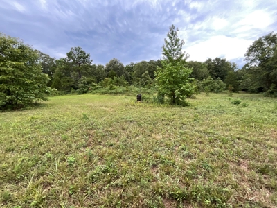 39 Acres Hunting/Recreational - image 43