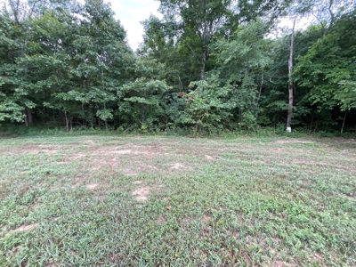 39 Acres Hunting/Recreational - image 25