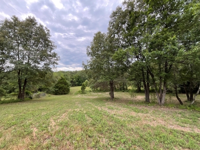 39 Acres Hunting/Recreational - image 41