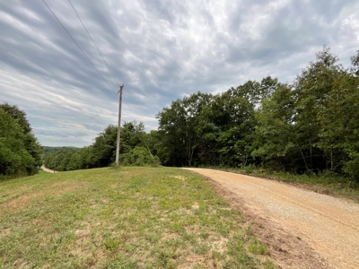 39 Acres Hunting/Recreational - image 32