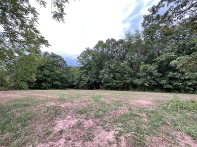 39 Acres Hunting/Recreational - image 38