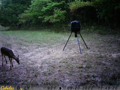 39 Acres Hunting/Recreational - image 48