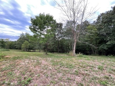 39 Acres Hunting/Recreational - image 37