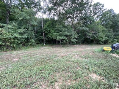 39 Acres Hunting/Recreational - image 28