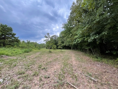 39 Acres Hunting/Recreational - image 39