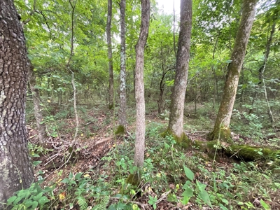 39 Acres Hunting/Recreational - image 44