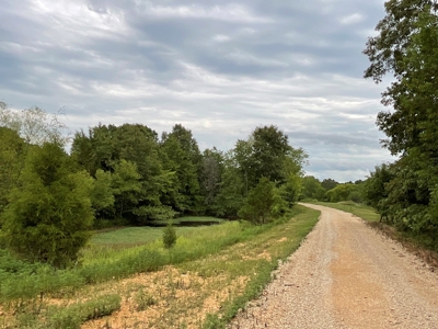 39 Acres Hunting/Recreational - image 36