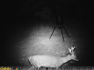 39 Acres Hunting/Recreational - image 47