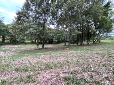 39 Acres Hunting/Recreational - image 42