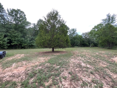 39 Acres Hunting/Recreational - image 26