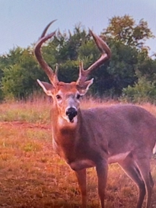 Kansas Hunting Property for sale - image 45