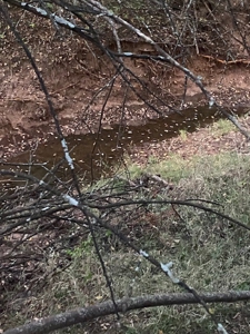 Kansas Hunting Property for sale - image 35