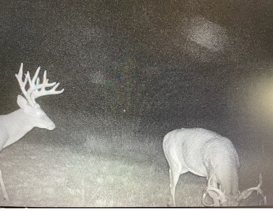 Kansas Hunting Property for sale - image 41