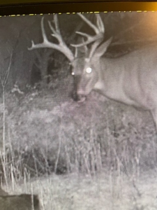 Kansas Hunting Property for sale - image 1