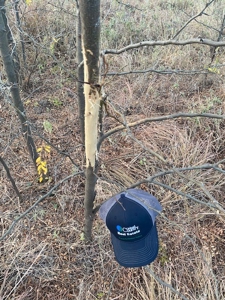 Kansas Hunting Property for sale - image 32