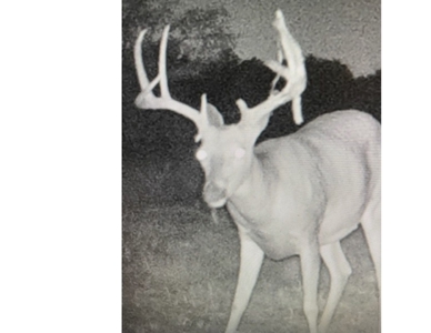 Kansas Hunting Property for sale - image 39