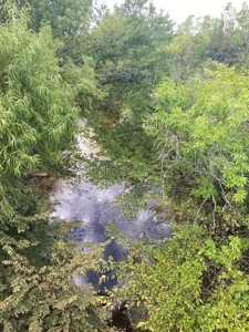 Kansas Hunting Property for sale - image 31