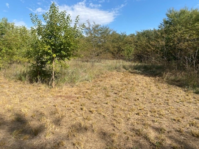 Kansas Hunting Property for sale - image 30