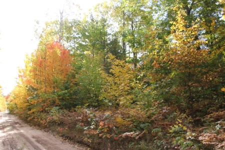 Northern Michigan Hunting Land 10-Acres Cheboygan, MI Wooded - image 6