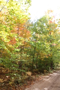 Northern Michigan Hunting Land 10-Acres Cheboygan, MI Wooded - image 11