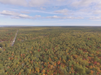 Northern Michigan Hunting Land 10-Acres Cheboygan, MI Wooded - image 1