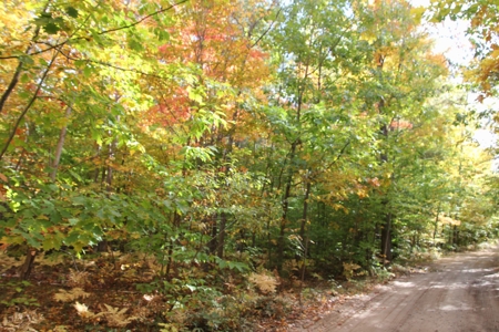 Northern Michigan Hunting Land 10-Acres Cheboygan, MI Wooded - image 12