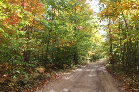 Northern Michigan Hunting Land 10-Acres Cheboygan, MI Wooded - image 13