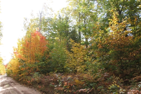 Northern Michigan Hunting Land 10-Acres Cheboygan, MI Wooded - image 7