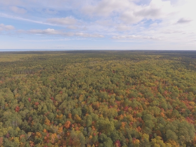 Northern Michigan Hunting Land 10-Acres Cheboygan, MI Wooded - image 2