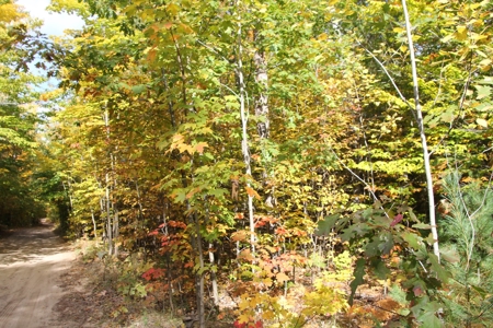 Northern Michigan Hunting Land 10-Acres Cheboygan, MI Wooded - image 14