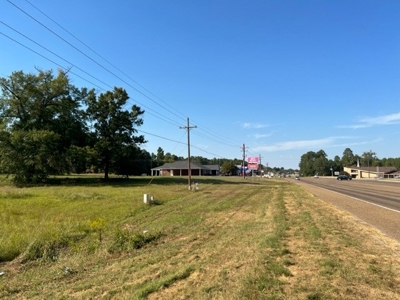 Commercial Lot For Sale in Diana Texas - image 2