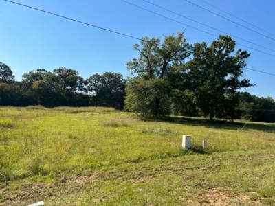 Commercial Lot For Sale in Diana Texas - image 1